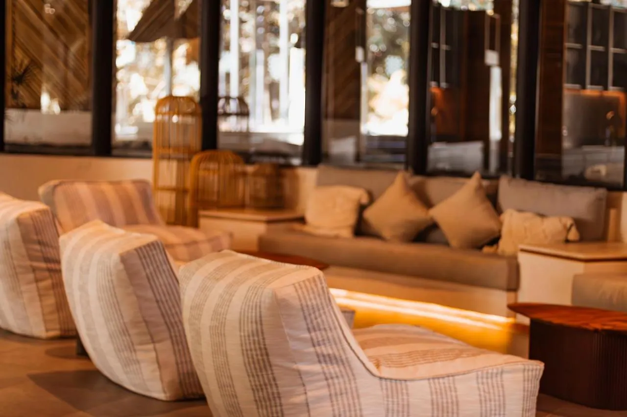 شقة Luxury Penthouse Luum Zama تولوم المكسيك